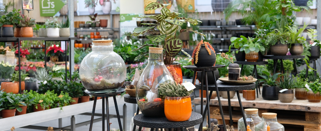 Tuincentrum Huis & Tuin Hoogeveen is de groenste tuinwinkel!