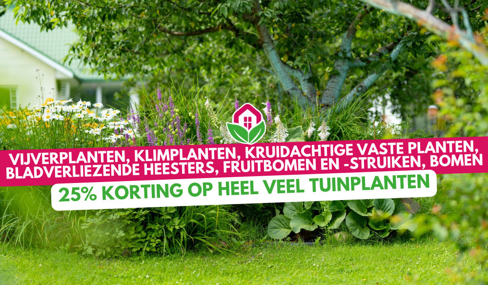 Tuinplanten | Huis & Tuin Hoogeveen