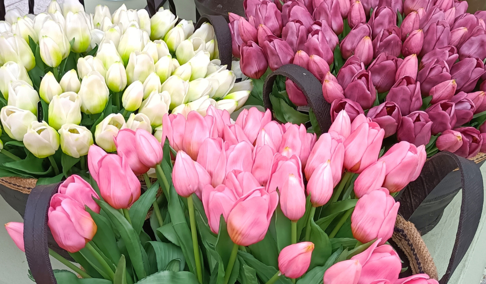 Kunstbloemen (tulpen) shop je bij Huis & Tuin Hoogeveen! Kunstbloemen (tulpen) shop je bij Huis & Tuin Hoogeveen!