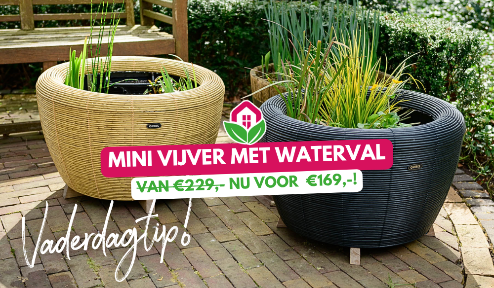 Aanbieding | Huis & Tuin Hoogeveen