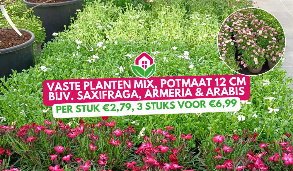 Aanbieding | Huis & Tuin Hoogeveen