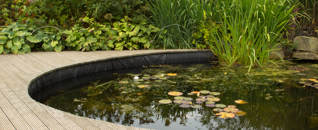 Vijver aanleggen? Huis & Tuin Hoogeveen is er voor je!