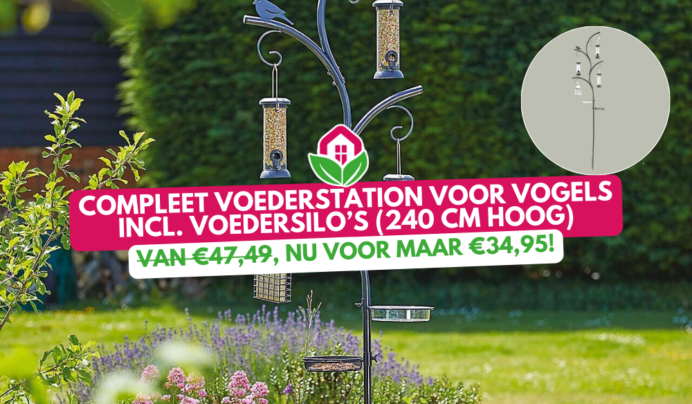 Aanbieding | Huis & Tuin Hoogeveen Aanbieding | Huis & Tuin Hoogeveen