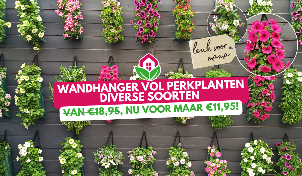 10 mei Moederdag | Huis & Tuin Hoogeveen