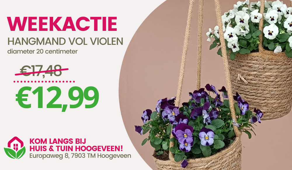 AANBIEDING | Huis & Tuin Hoogeveen