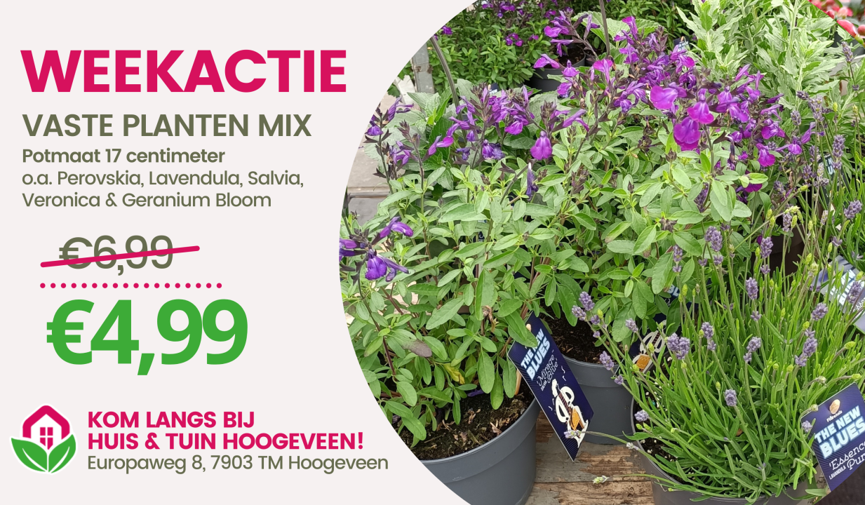 AANBIEDING | Huis & Tuin Hoogeveen