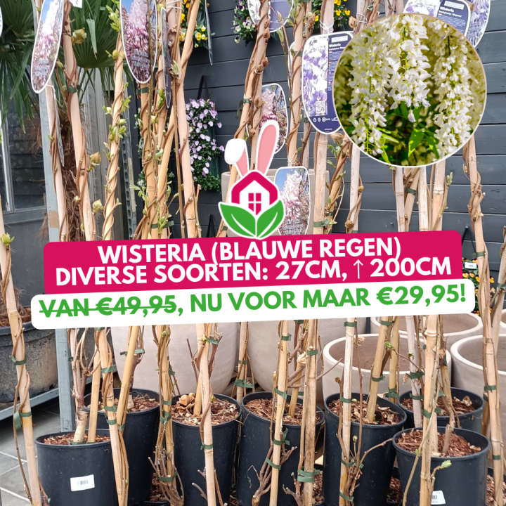 Aanbieding | Huis & Tuin Hoogeveen