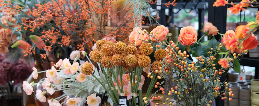 Woonwinkel in Hoogeveen? Kom naar Huis & Tuin Hoogeveen!