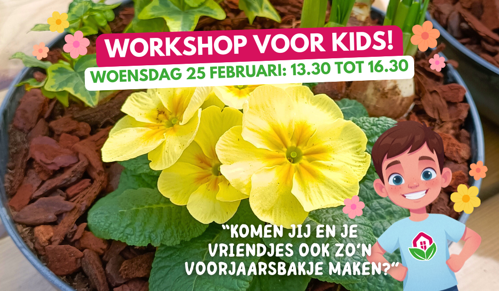 Workshop | Huis & Tuin Hoogeveen Workshop | Huis & Tuin Hoogeveen
