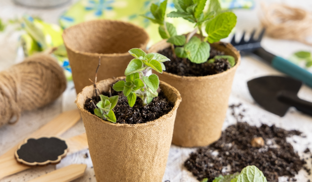 Zaden en moestuinbenodigdheden kopen | Huis & Tuin Hoogeveen