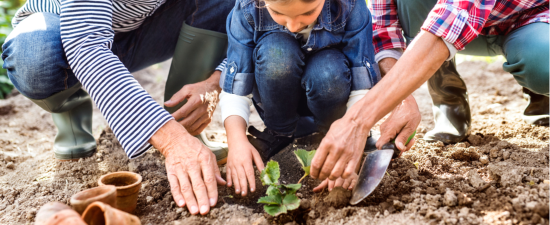 Handgereedschap kopen voor de tuin