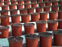 Biologisch tuinieren Biologisch tuinieren