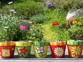 Containerplanten Containerplanten