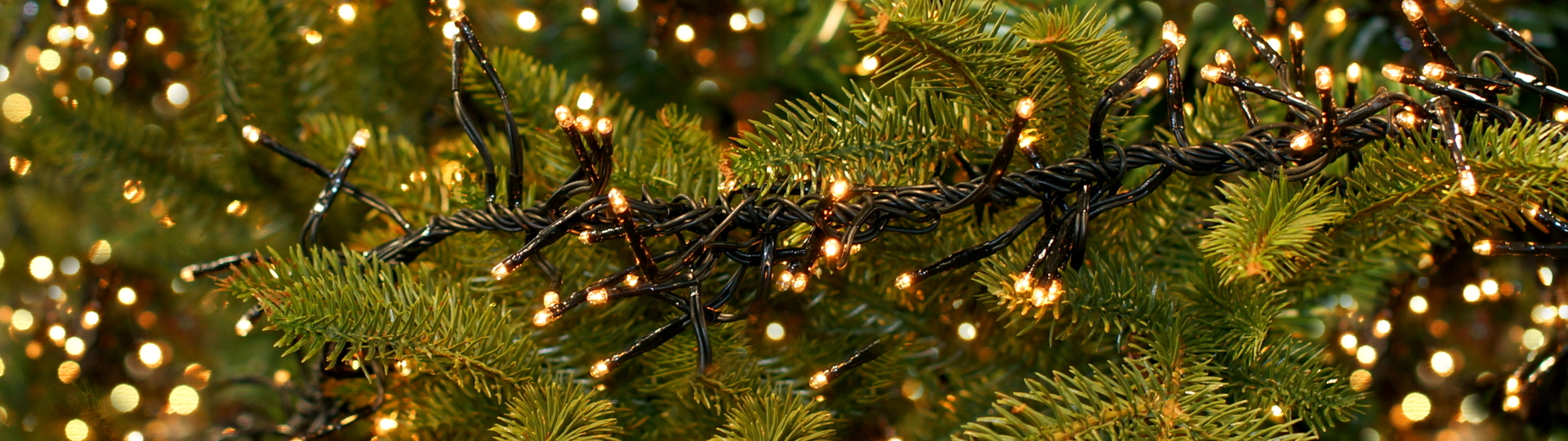Kerstverlichting shoppen