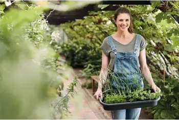 3 redenen om dit jaar een moestuin te beginnen