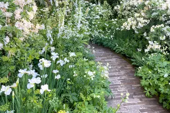 Dit is waarom je je een witte tuin wilt
