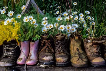 Duurzaam het najaar in: hergebruik wat je al hebt