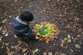 Groen doen in de herfstvakantie