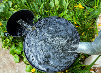 Tips hoe je regenwater slim gebruikt