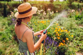 Verkoelende tuintips voor hittegolven: voor jou én je planten