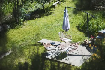 Weg met grijs: zo til je jouw tegeltuin naar een groener (en dus vrolijker) level!