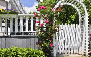 Pergola's en rolborders