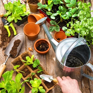 Kweekaccessoires voor de moestuin | Huis & Tuin Hoogeveen