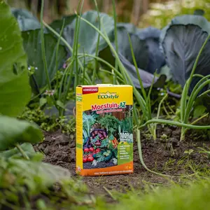 Moestuin