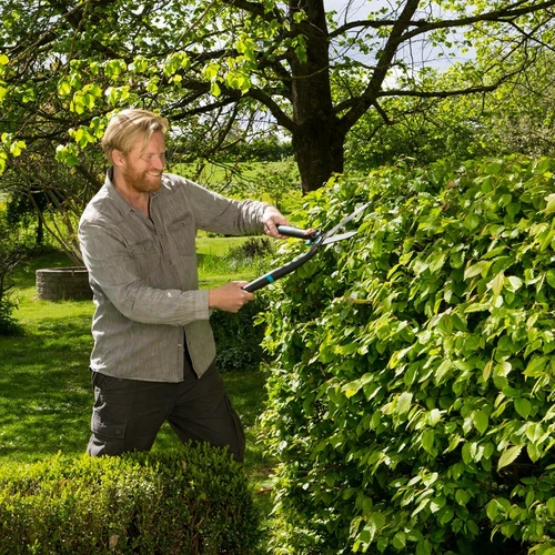 Lijkt op afstuderen Neem de telefoon op Tuingereedschap & Tuinaccessoires