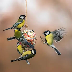 Vogelvoer