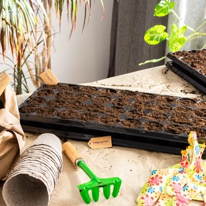 Zaden kopen | Tuincentrum Huis & Tuin Hoogeveen