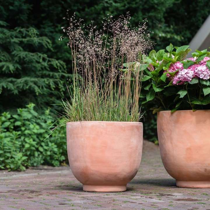 Bloempotten voor buiten - Tuin