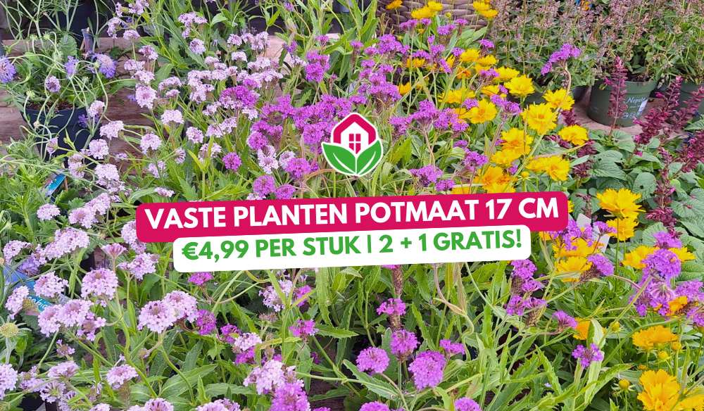 Water geven | Huis & Tuin Hoogeveen Water geven | Huis & Tuin Hoogeveen