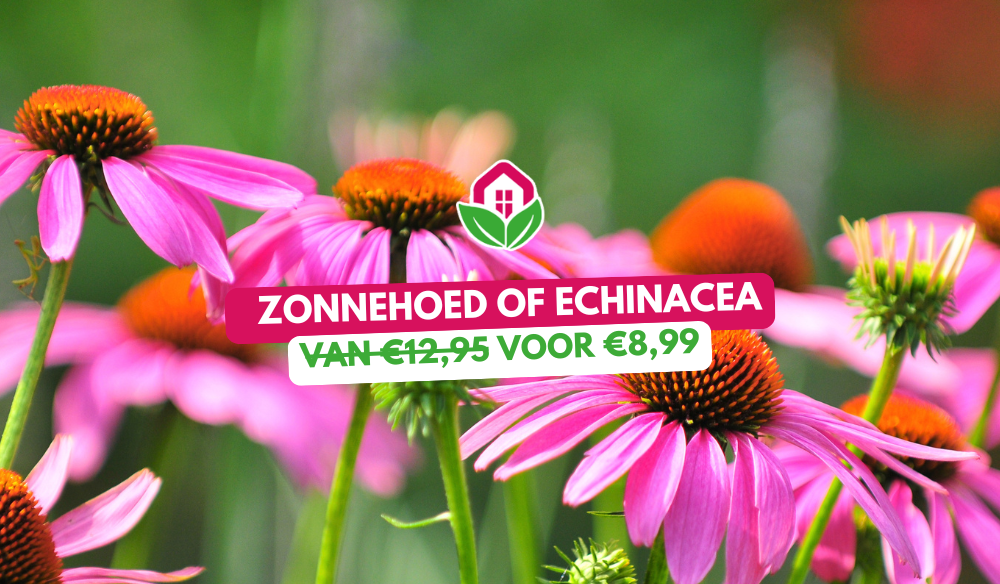 Water geven | Huis & Tuin Hoogeveen Water geven | Huis & Tuin Hoogeveen